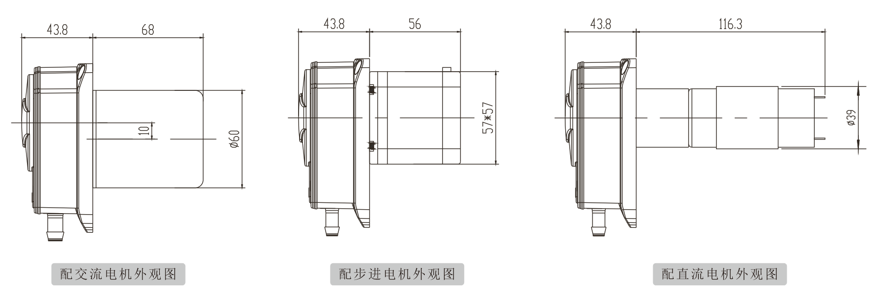 K25羞羞视频在线